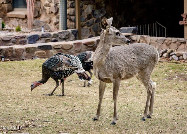 29 E RAMSEY CANYON Road, Hereford, AZ 85615