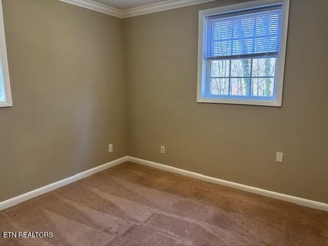 109 Wedgewood Rd, Oak Ridge, TN 37830