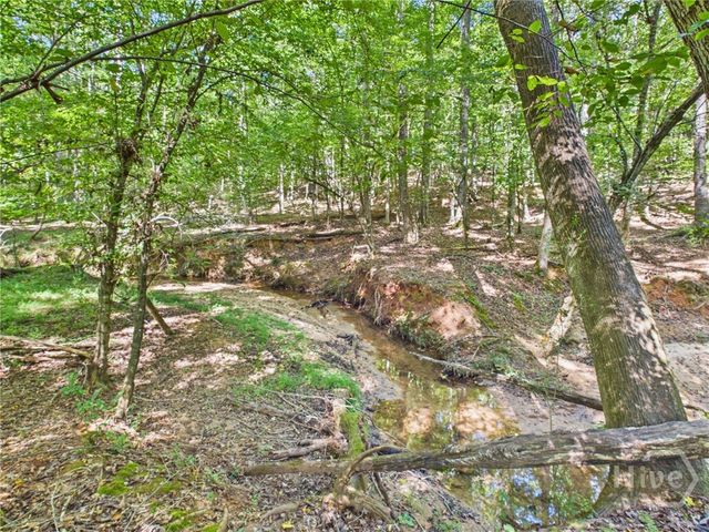1251 Summit Circle, Watkinsville, GA 30677