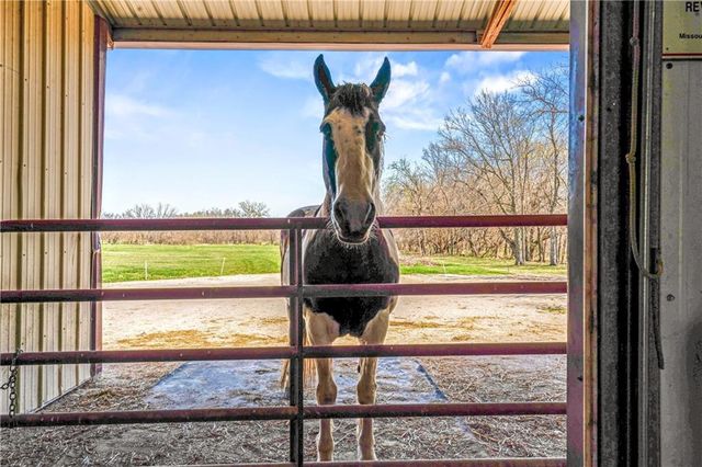 33421 Mcclellen Road, Drexel, MO 64742