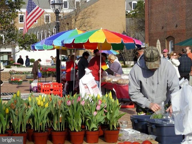 624 PULMAN PL, Alexandria, VA 22305