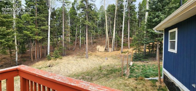 419 Donzi Trail, Florissant, CO 80816