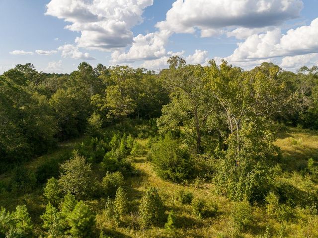 TBD Buffalo Subdivision Road, Livingston, TX 77351