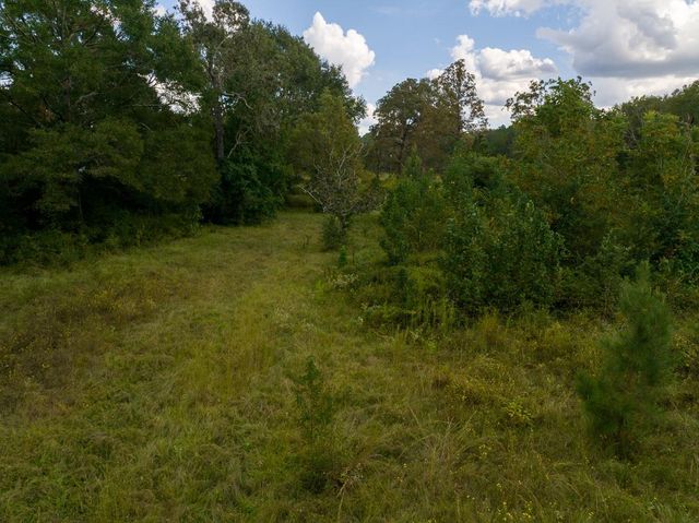 TBD Buffalo Subdivision Road, Livingston, TX 77351