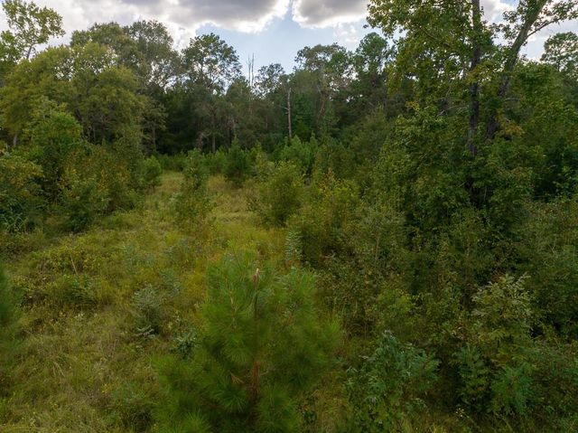 TBD Buffalo Subdivision Road, Livingston, TX 77351