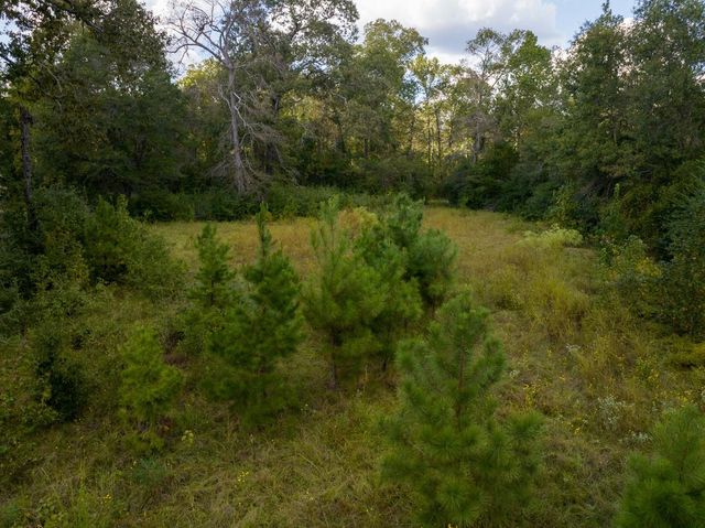 TBD Buffalo Subdivision Road, Livingston, TX 77351