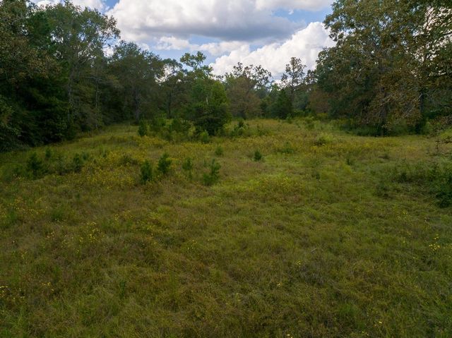 TBD Buffalo Subdivision Road, Livingston, TX 77351