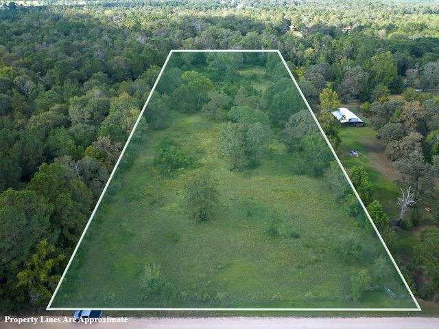 TBD Buffalo Subdivision Road, Livingston, TX 77351
