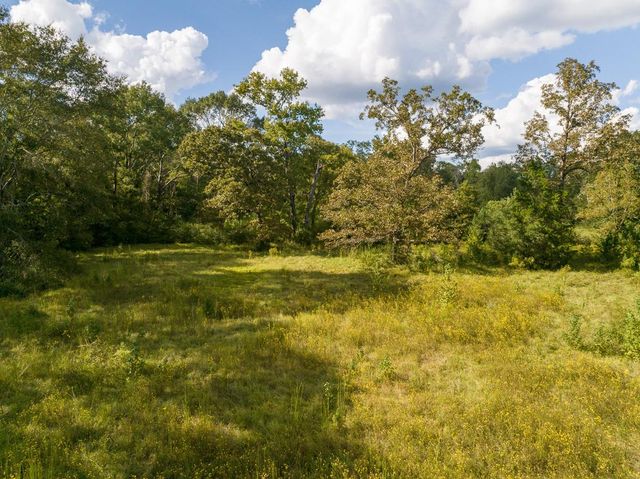 TBD Buffalo Subdivision Road, Livingston, TX 77351