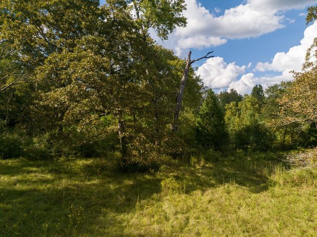 TBD Buffalo Subdivision Road, Livingston, TX 77351