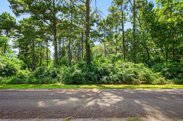 0 Colquitt Road, New Waverly, TX 77358