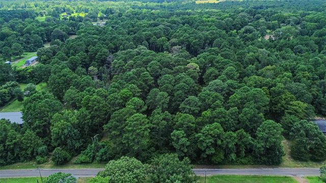 0 Colquitt Road, New Waverly, TX 77358