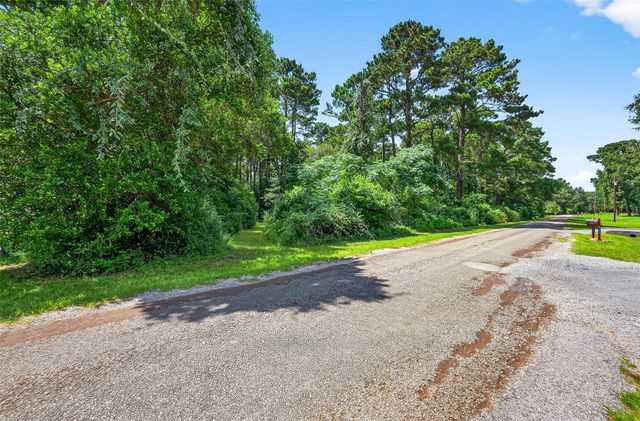 0 Colquitt Road, New Waverly, TX 77358