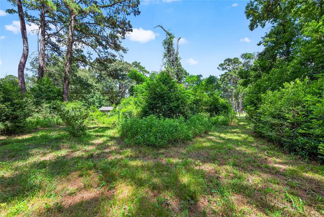 0 Colquitt Road, New Waverly, TX 77358