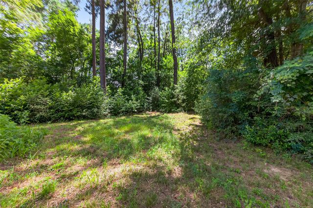 0 Colquitt Road, New Waverly, TX 77358