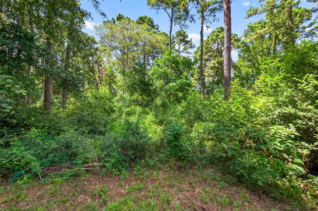 0 Colquitt Road, New Waverly, TX 77358