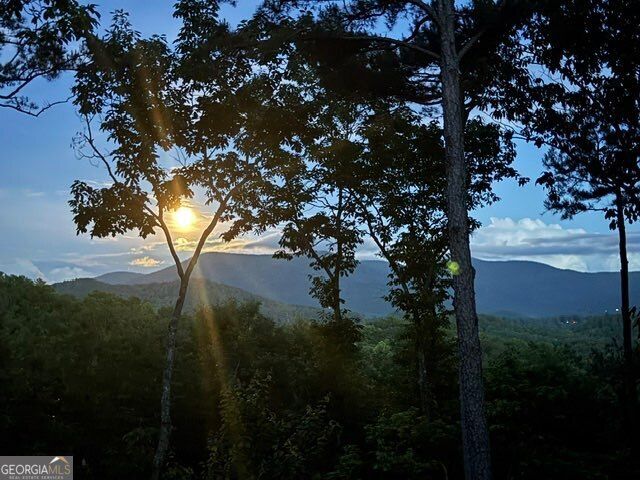 254 Leatherwood Mountain Road, Ellijay, GA 30540