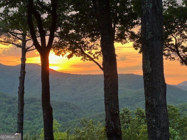 254 Leatherwood Mountain Road, Ellijay, GA 30540