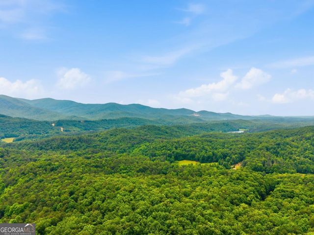 254 Leatherwood Mountain Road, Ellijay, GA 30540