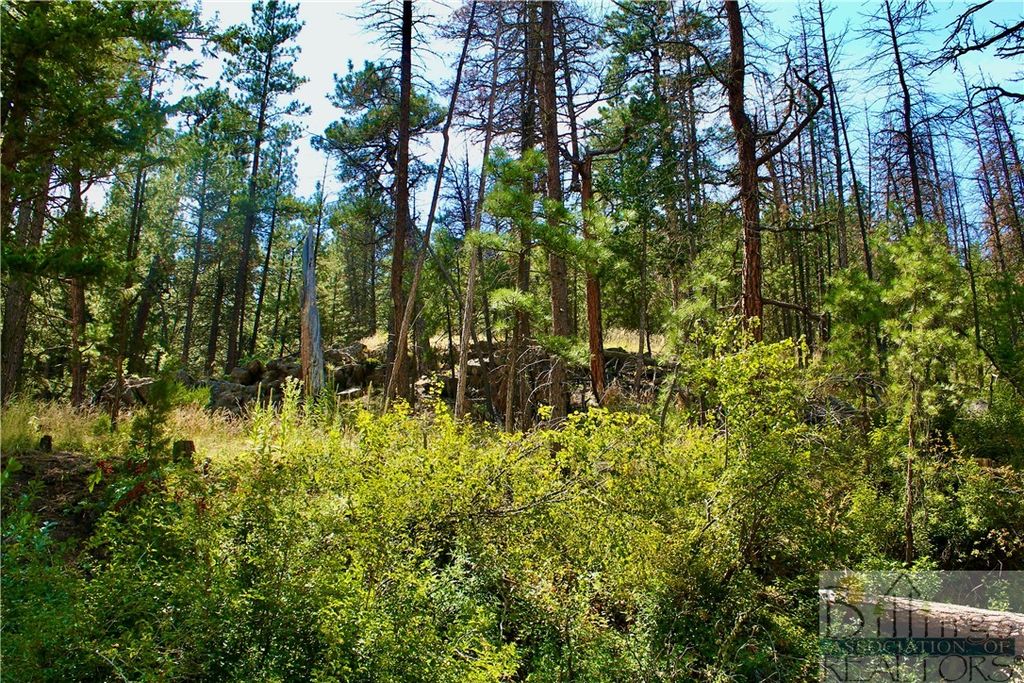 0 Box Caynon Ln, Other, MT 59421