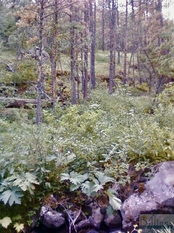 0 Box Caynon Ln, Other, MT 59421 photo 3