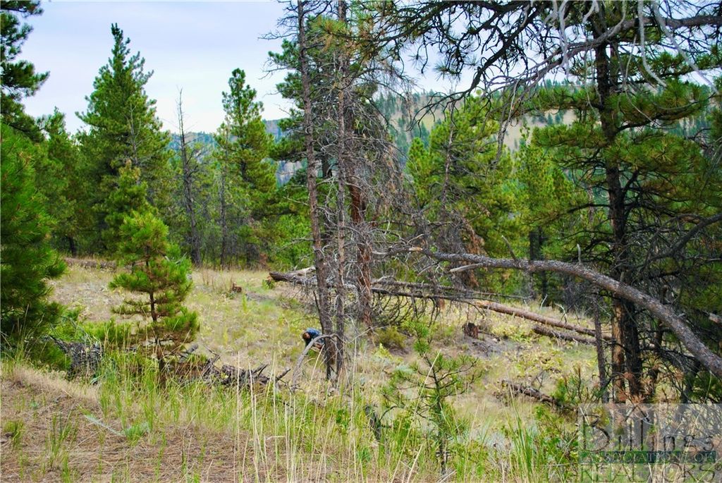 0 Box Caynon Ln, Other, MT 59421 photo 4