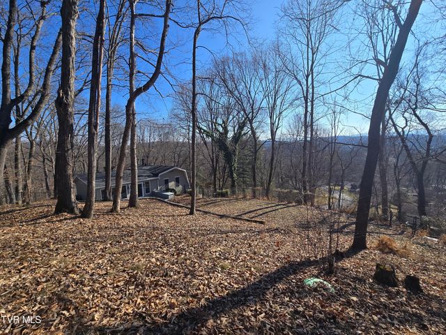 324 Upland Way, Bristol, TN 37620