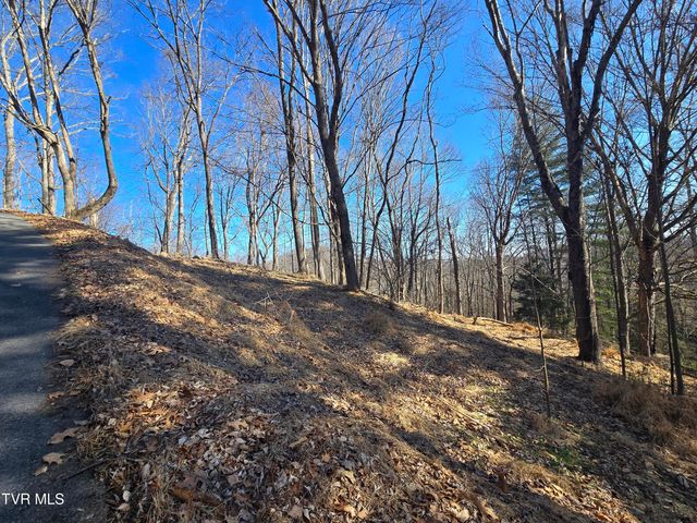 324 Upland Way, Bristol, TN 37620