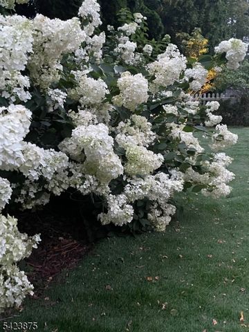 7 Blazure Dr, Bernardsville Boro, NJ 07924