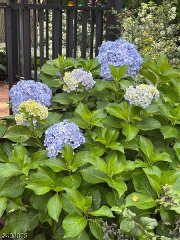 7 Blazure Dr, Bernardsville Boro, NJ 07924