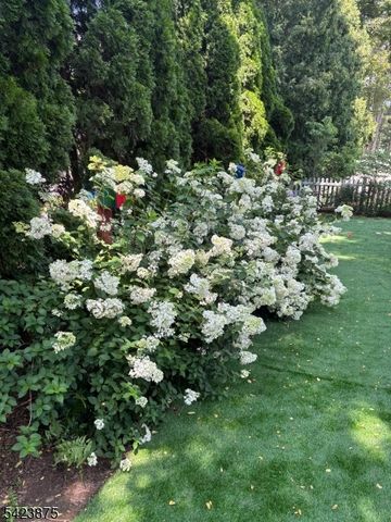 7 Blazure Dr, Bernardsville Boro, NJ 07924