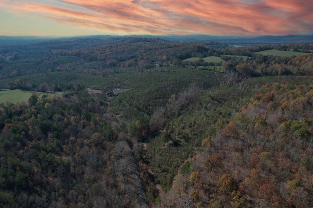 0 Big Sewee Road, Decatur, TN 37322