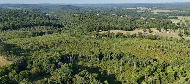 0 Big Sewee Road, Decatur, TN 37322