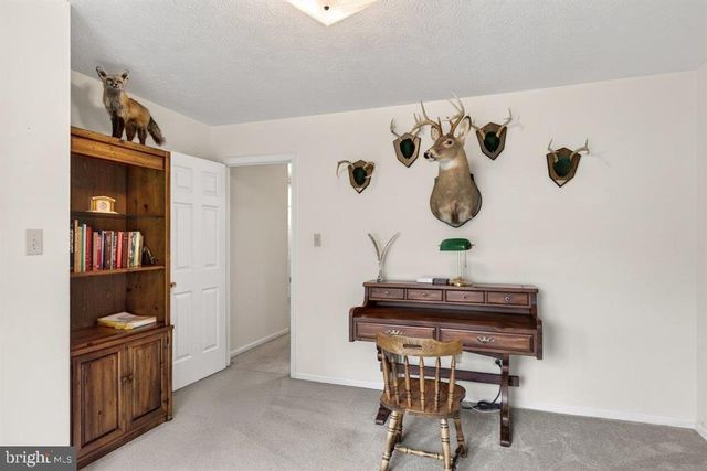 2220 PINEWOODS RD, Quicksburg, VA 22847