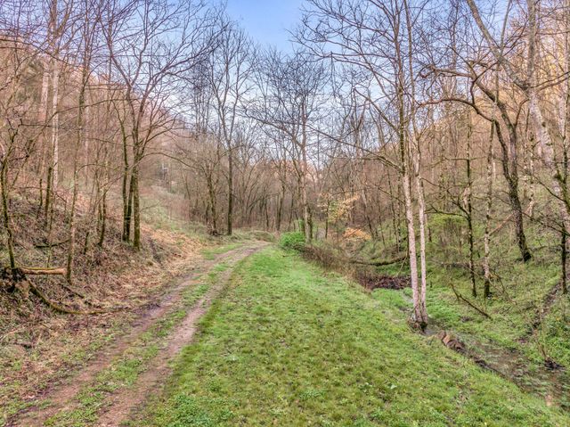 290 Hazel Huffines Ln, Whitleyville, TN 38588