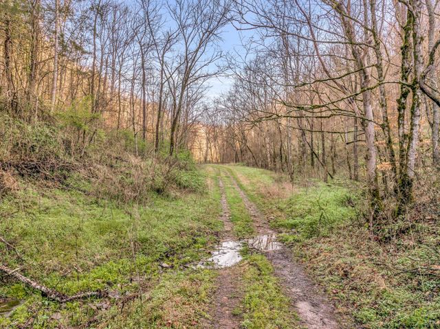 290 Hazel Huffines Ln, Whitleyville, TN 38588