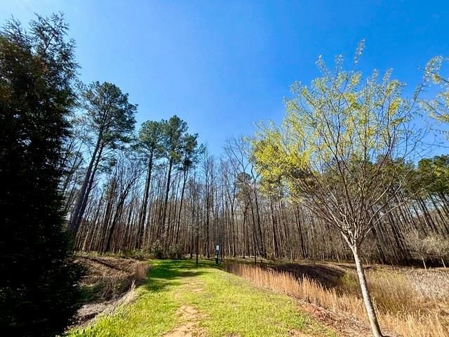 3044 Creekside Overlook Way, Austell, GA 30168