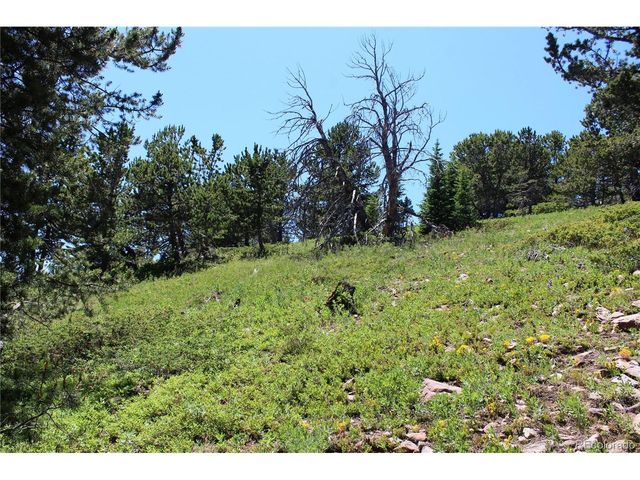 1595 Missouri Gulch Rd, Black Hawk, CO 80422
