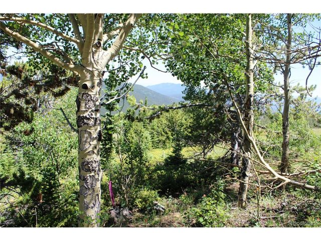1595 Missouri Gulch Rd, Black Hawk, CO 80422
