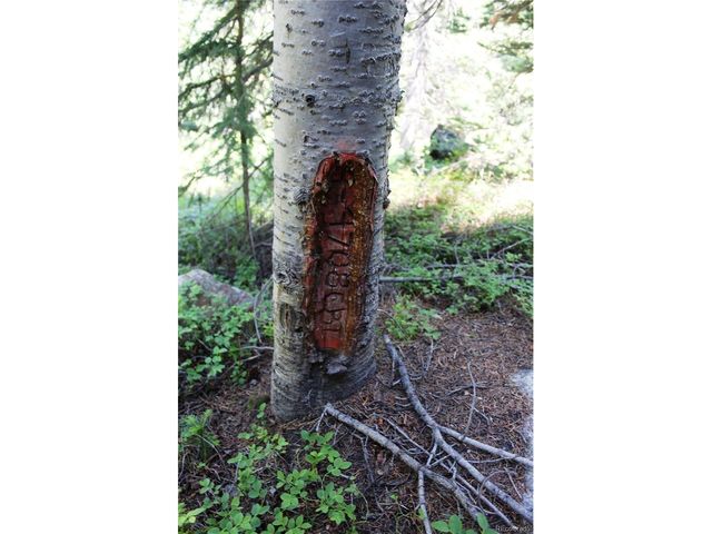 1595 Missouri Gulch Rd, Black Hawk, CO 80422