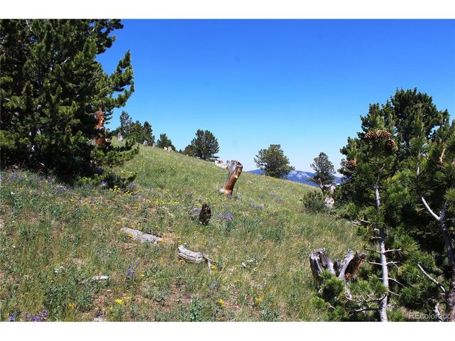 1595 Missouri Gulch Rd, Black Hawk, CO 80422