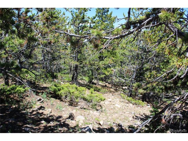 1595 Missouri Gulch Rd, Black Hawk, CO 80422