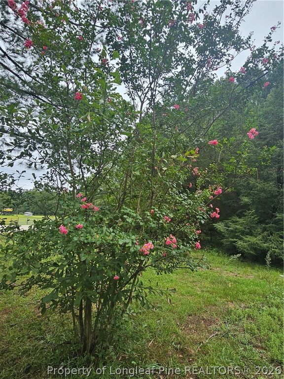 23 Southfork Road, Parkton, NC 28371 — photo 3
