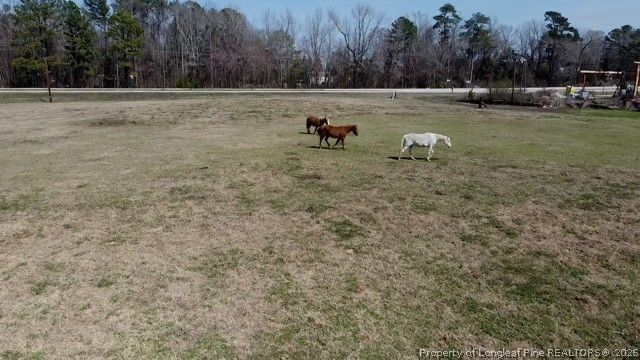 13441 NC Highway 87 W, Tar Heel, NC 28392