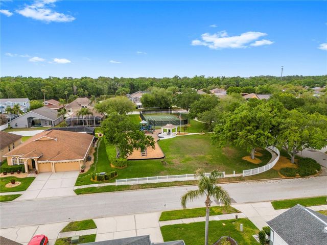 1352 BIG CREEK DRIVE, Wesley Chapel, FL 33544