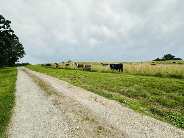 300 Round Up Lane, Bakersfield, MO 65609