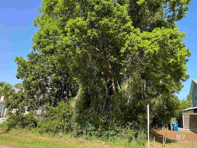 0 Tiger Brown Avenue, Orange Beach, AL 36561