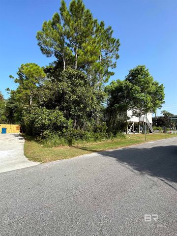 0 Tiger Brown Avenue, Orange Beach, AL 36561