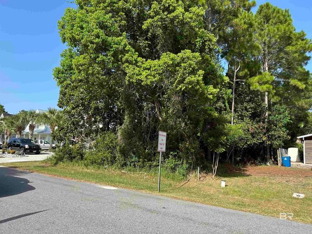 0 Tiger Brown Avenue, Orange Beach, AL 36561
