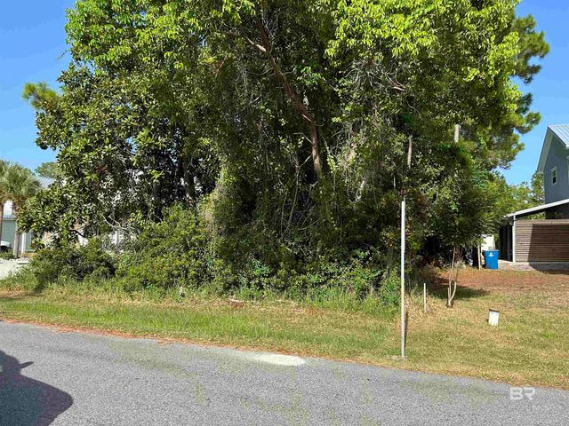 0 Tiger Brown Avenue, Orange Beach, AL 36561